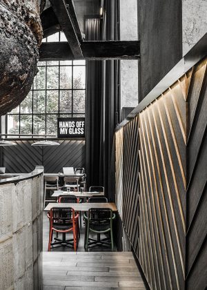 Stock from Under The Sea